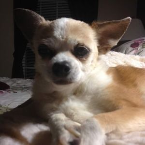 Meet your Posher, Claudia